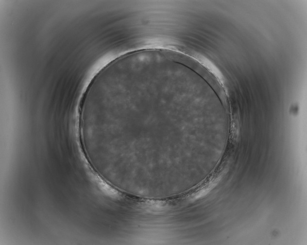 X0000099491096200805291101