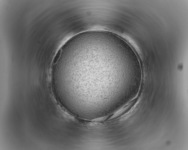 X0000099491097200805291101