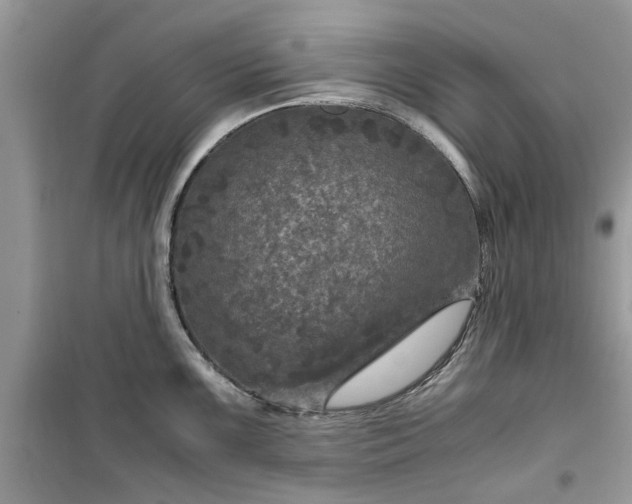 X0000099491099200805291101