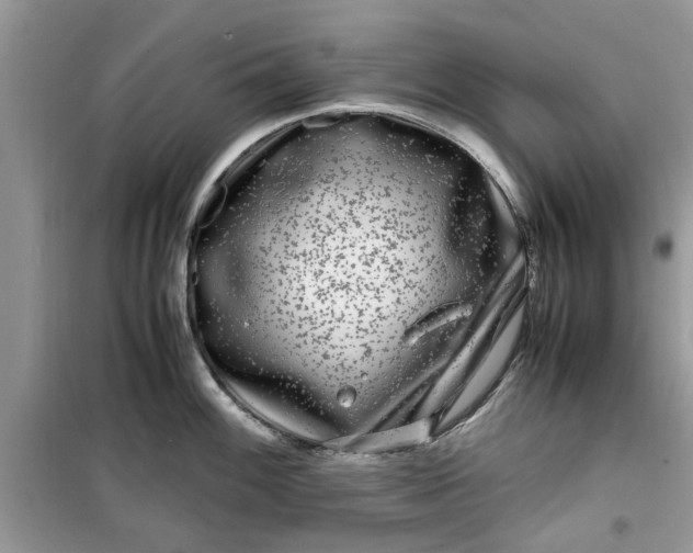 X0000099491100200805291101