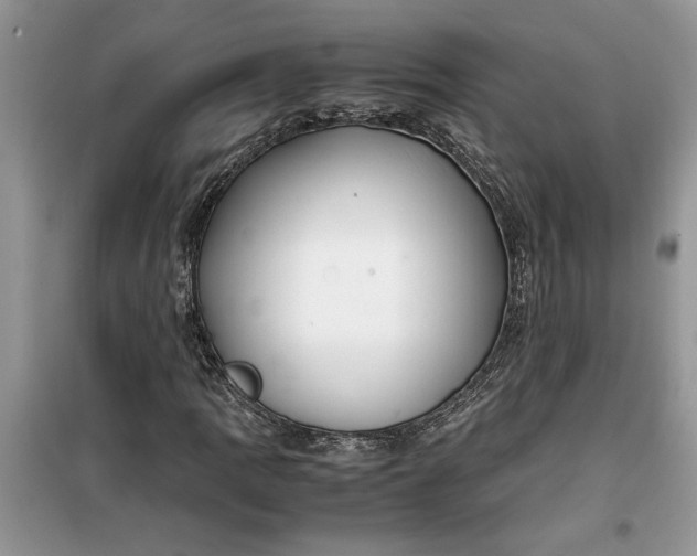 X0000099491109200805291101