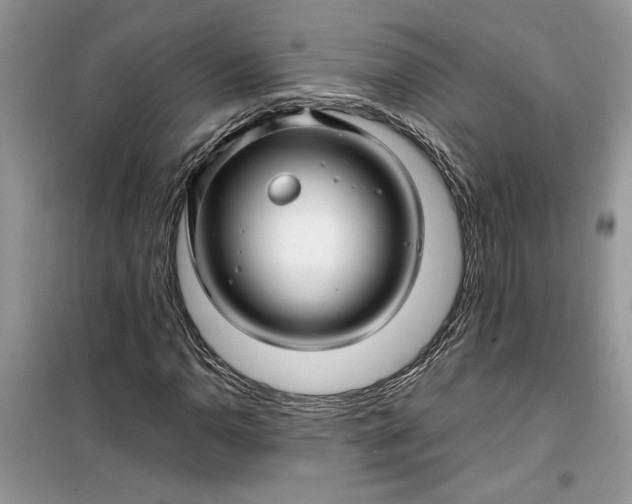 X0000099491110200805291101