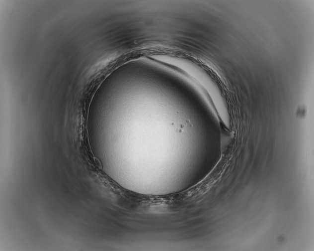 X0000099491111200805291101