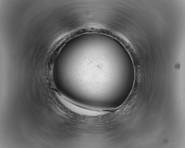 X0000099491112200805291101