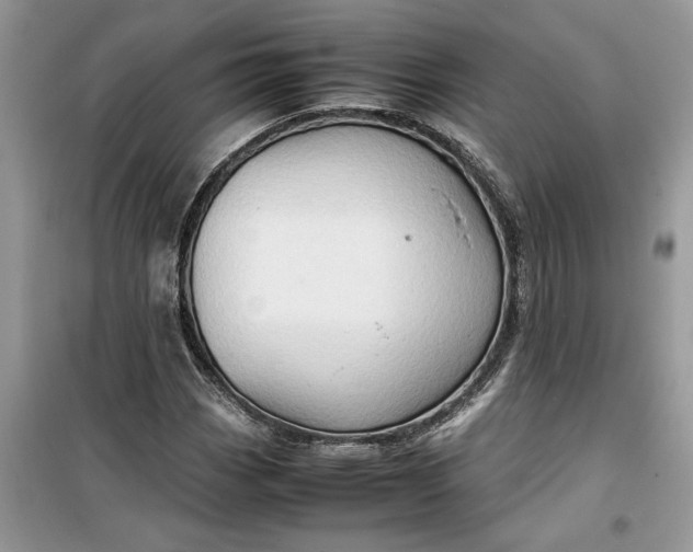 X0000099491113200805291101