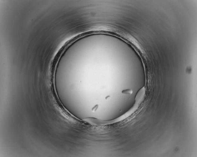 X0000099491116200805291101