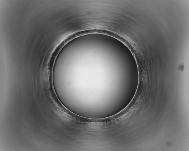 X0000099491118200805291101