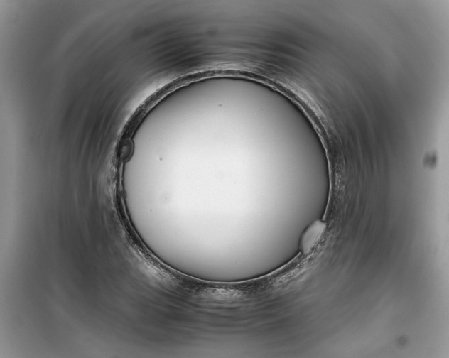 X0000099491119200805291101