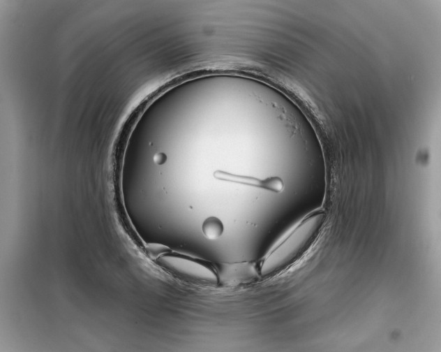 X0000099491122200805291101