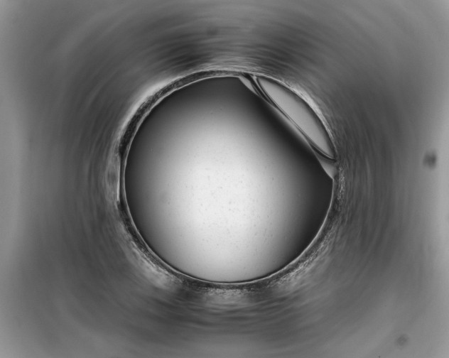 X0000099491123200805291101