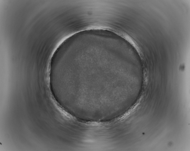 X0000099491124200805291101