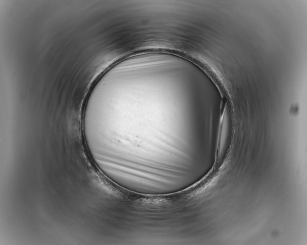 X0000099491129200805291101