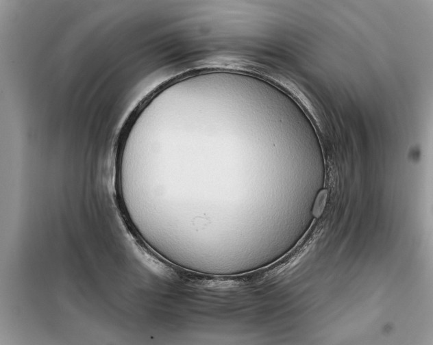 X0000099491131200805291101