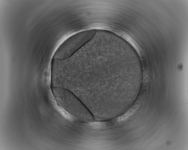 X0000099491132200805291101