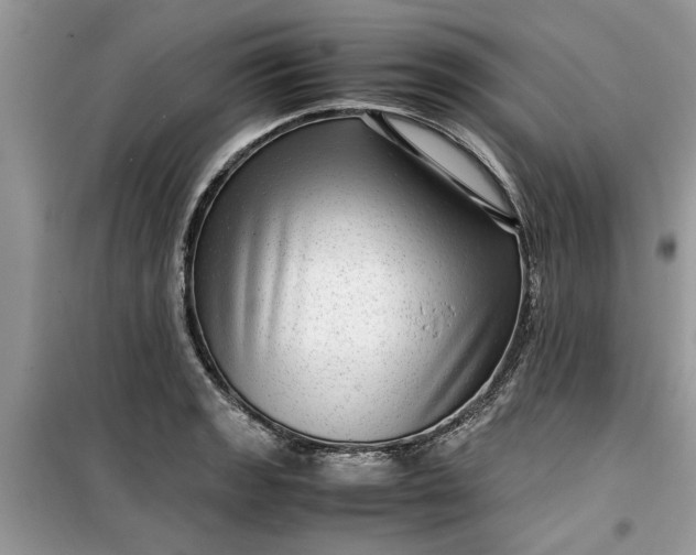 X0000099491133200805291101