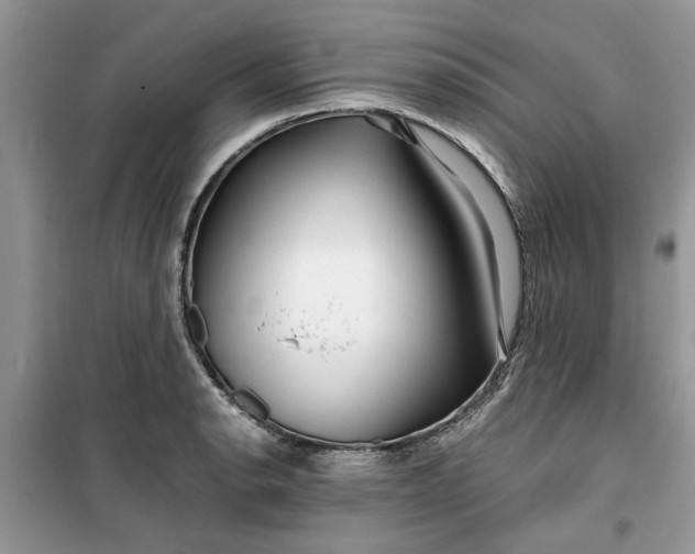 X0000099491134200805291101