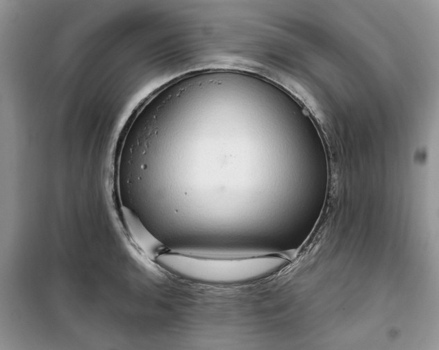 X0000099491136200805291101