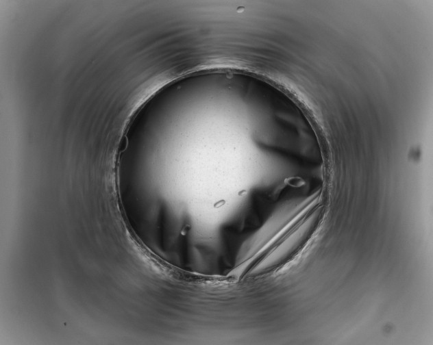 X0000099491137200805291101