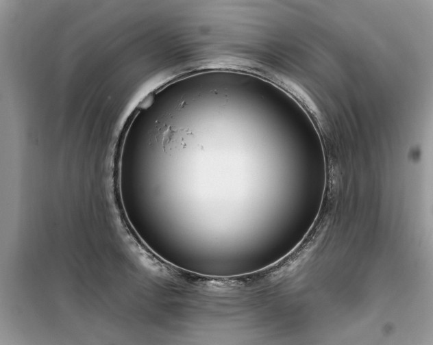 X0000099491138200805291101