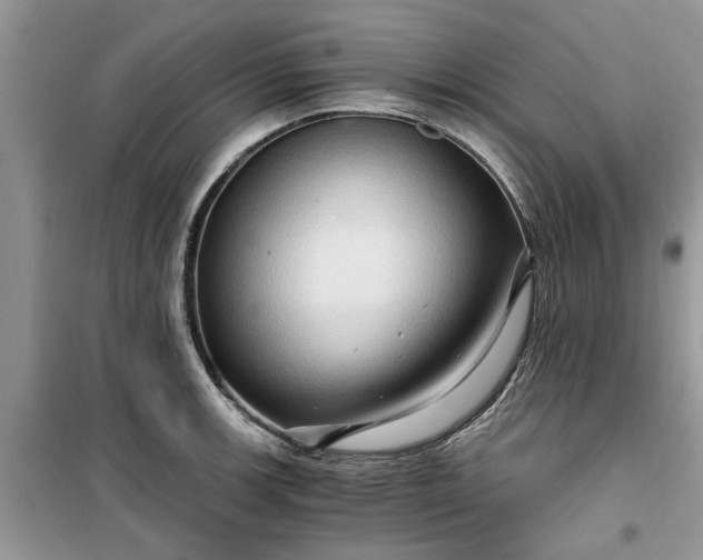 X0000099491139200805291101