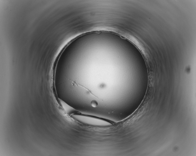 X0000099491140200805291101