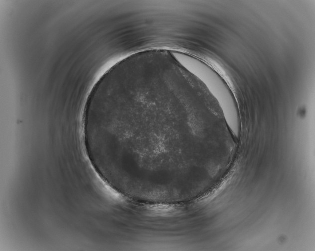 X0000099491141200805291101