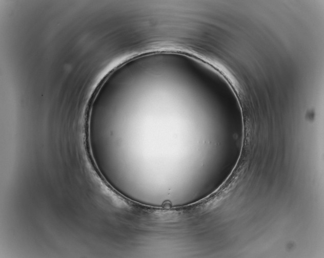 X0000099491142200805291101