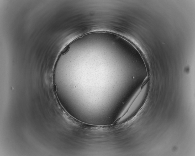 X0000099491145200805291101