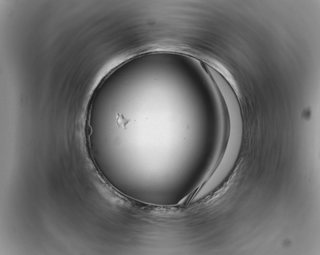 X0000099491146200805291101