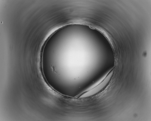 X0000099491147200805291101