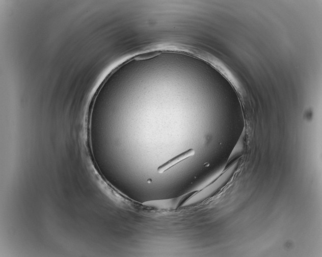 X0000099491148200805291101