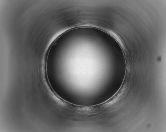 X0000099491149200805291101