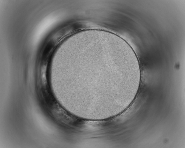 X0000099491150200805291101