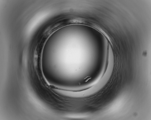 X0000099491151200805291101