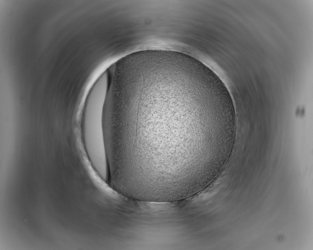 X0000099491152200805291101