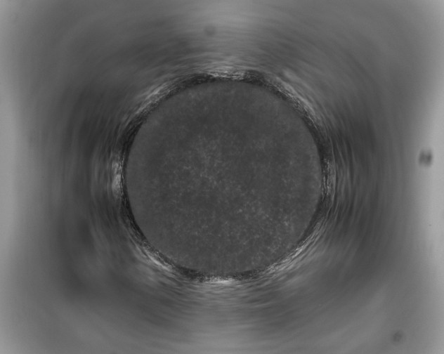 X0000099491154200805291101