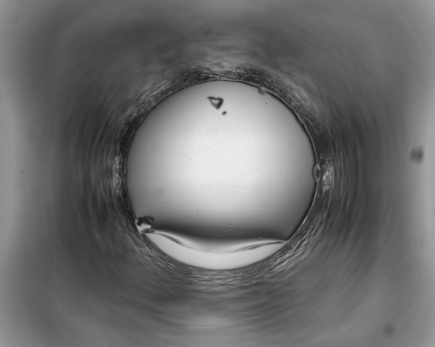 X0000099491156200805291101