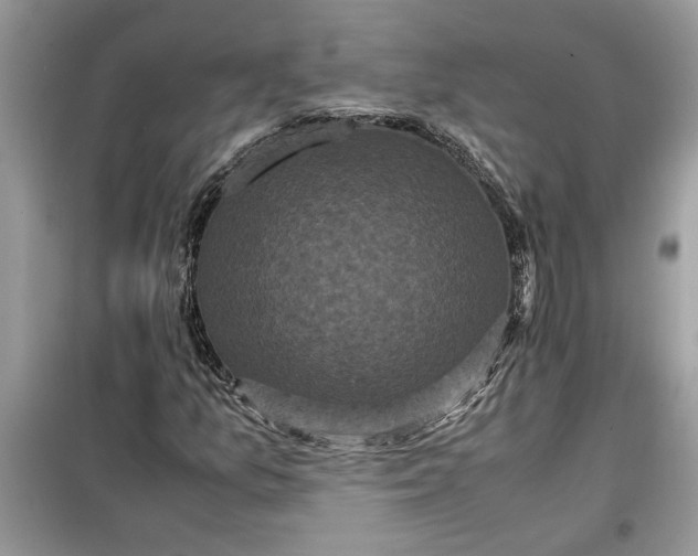 X0000099491157200805291101