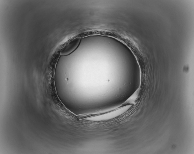 X0000099491159200805291101