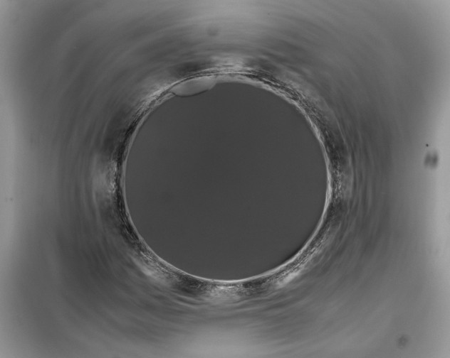 X0000099491161200805291100