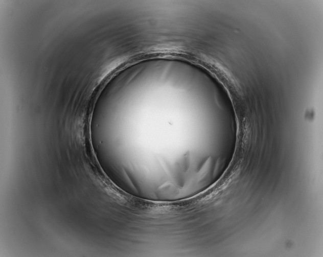 X0000099491162200805291100