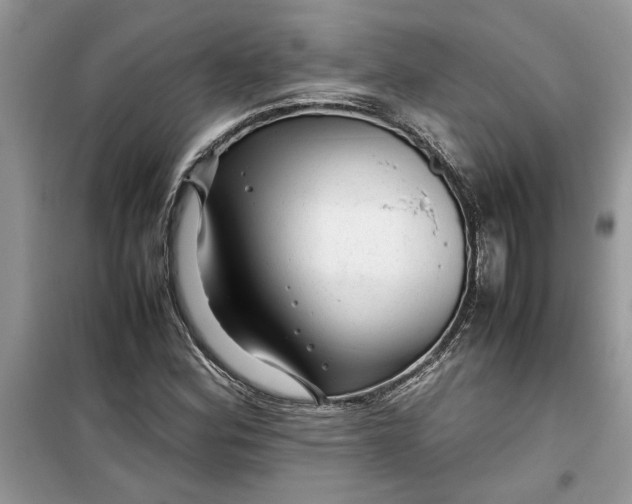 X0000099491164200805291100