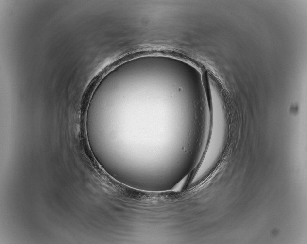 X0000099491165200805291100