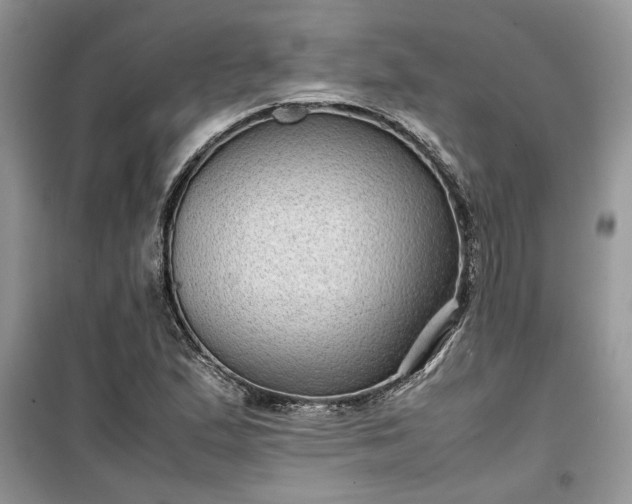 X0000099491167200805291100