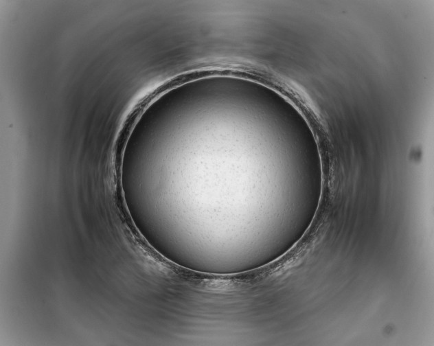 X0000099491172200805291100