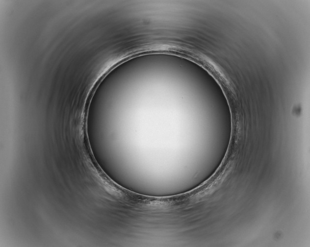 X0000099491178200805291100