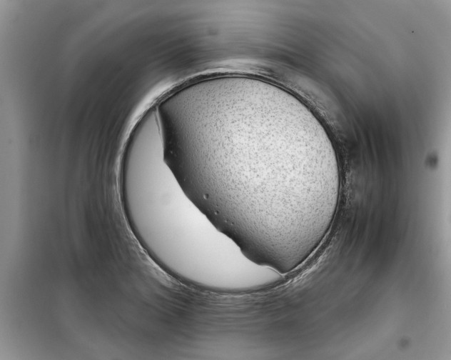 X0000099491180200805291100