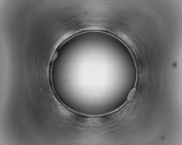 X0000099491181200805291100