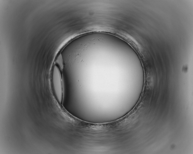 X0000099491182200805291100