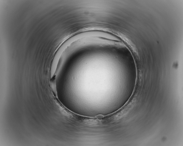 X0000099491185200805291100